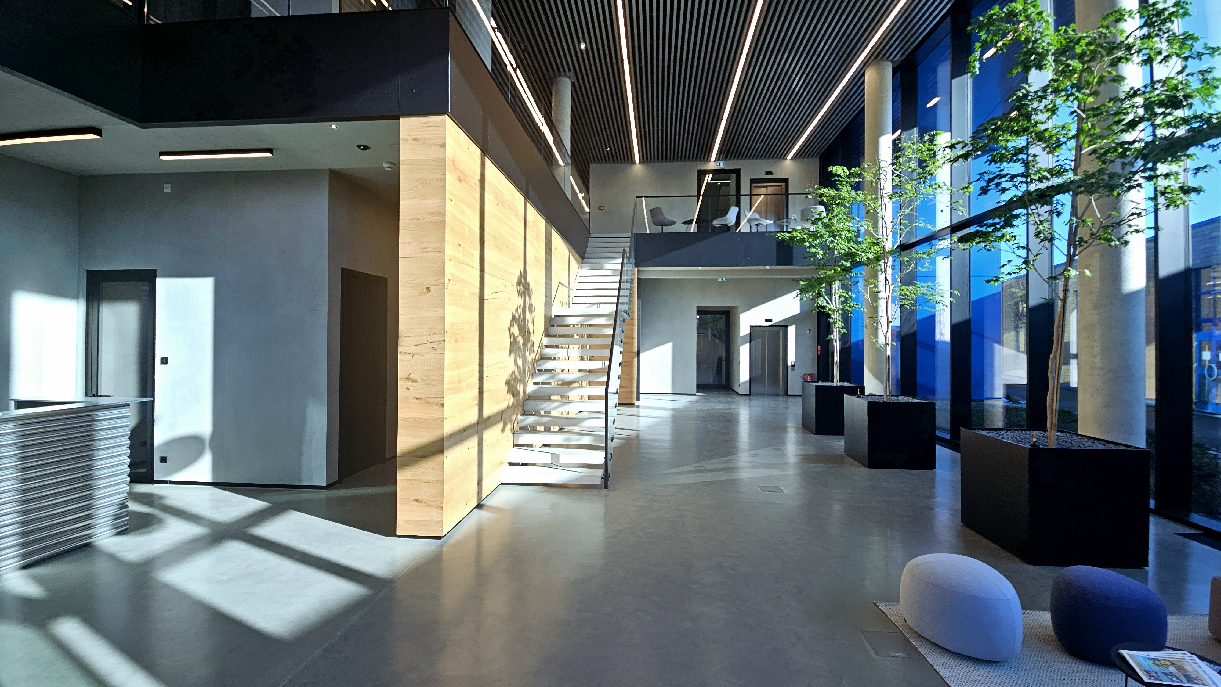Lichtdurchfluteter Innenraum mit offener Treppe, Holzflächen und Bäumen
